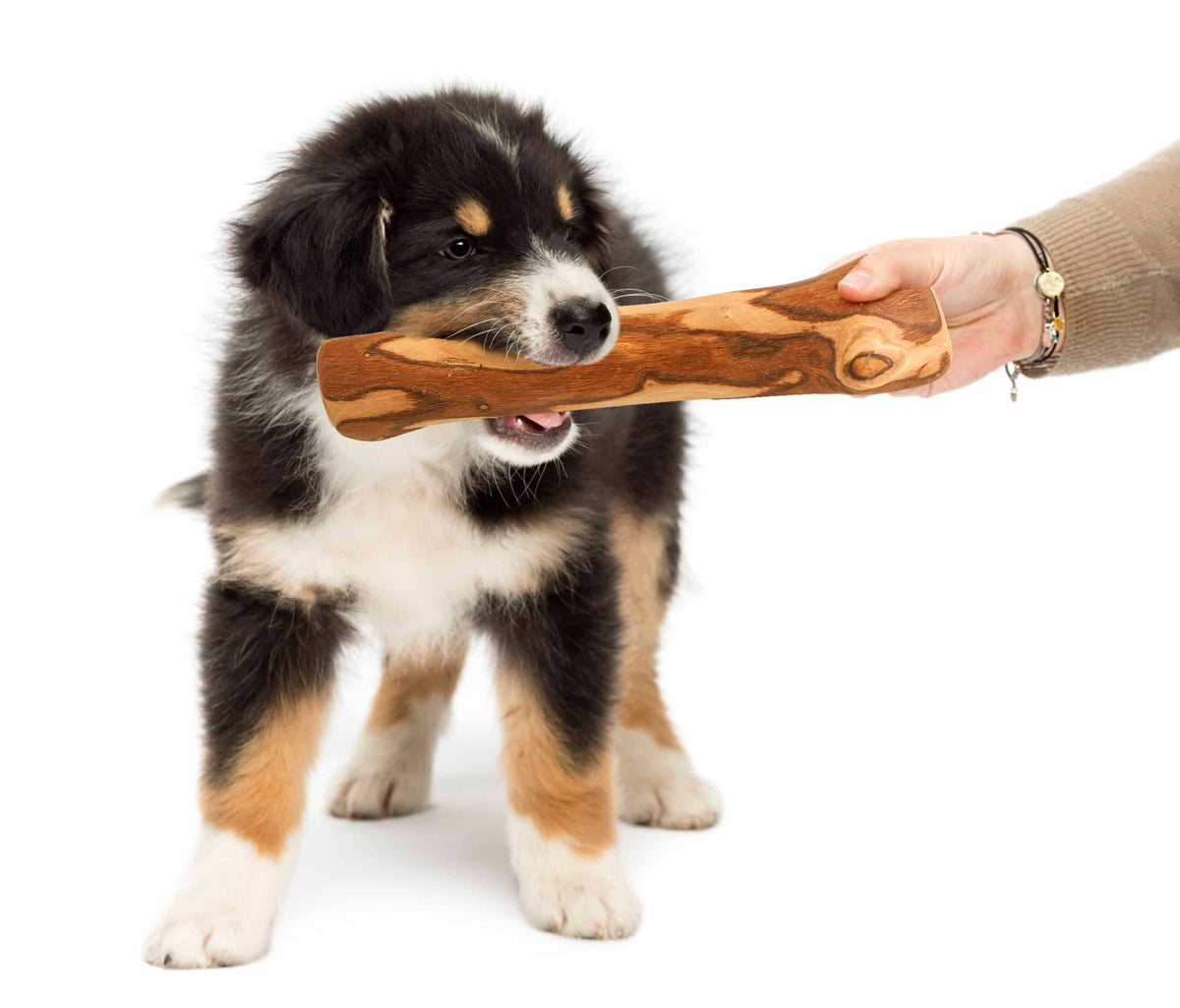 Olive Wood Chewing Bone for Dogs – Natural & Durable Chew Toy | Artisraw Tunisie