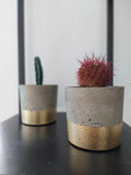 Concrete Plant Basket