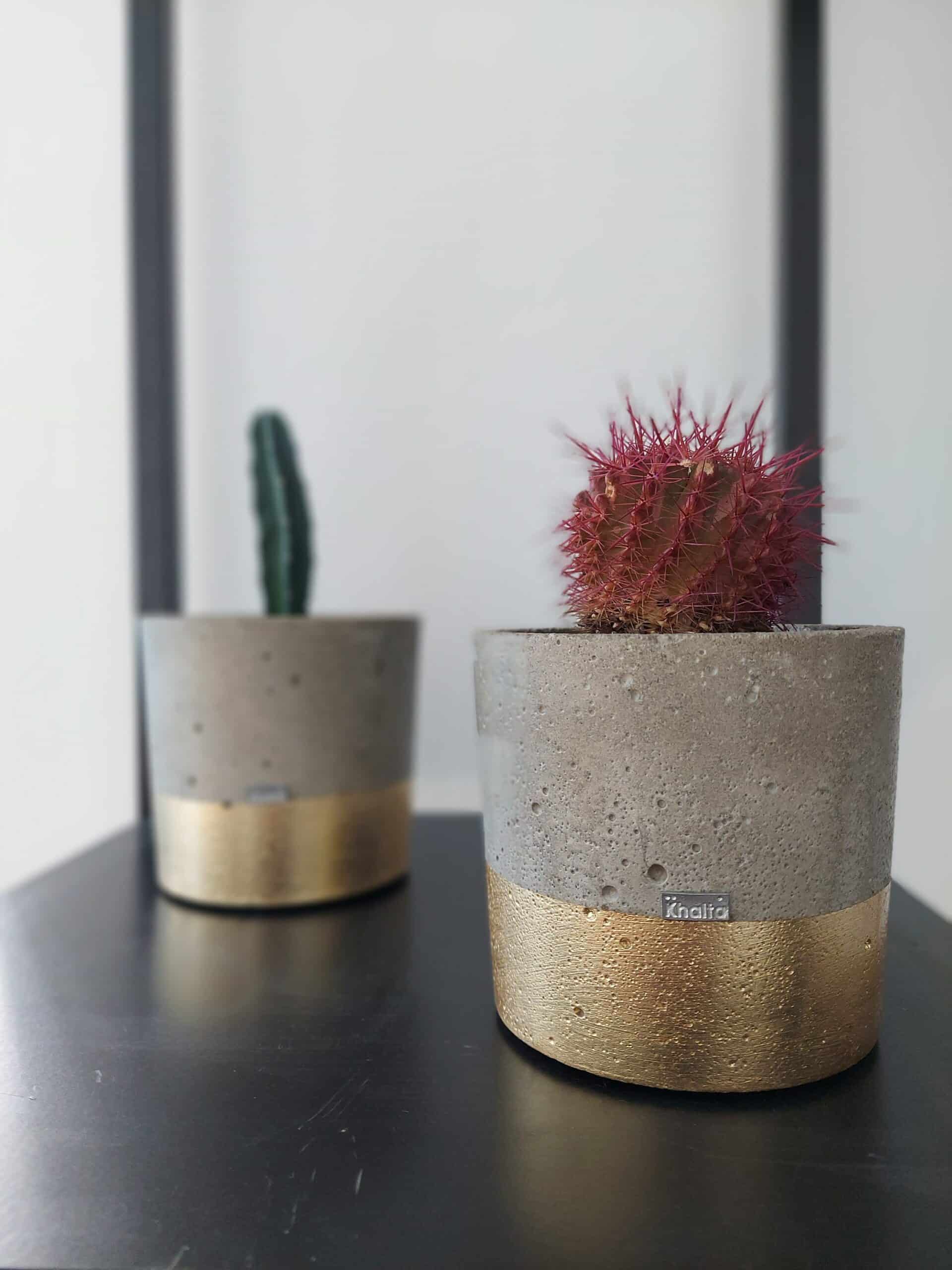 Concrete Plant Basket Artisraw