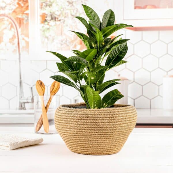 Handwoven Straw Basket for Potted Plant