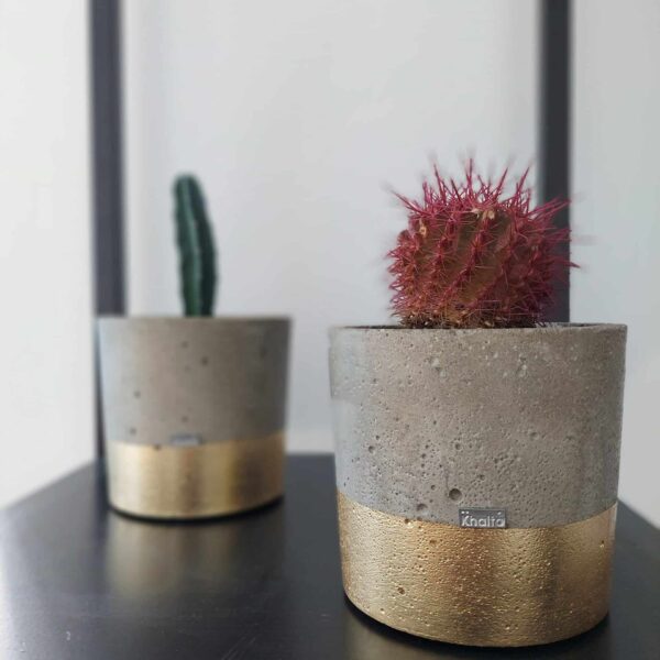 Concrete Plant Basket