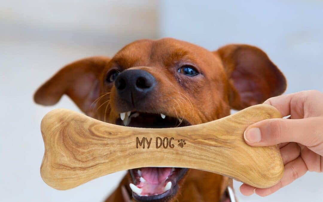 Antibacterial Dog Bone Wood Handmade