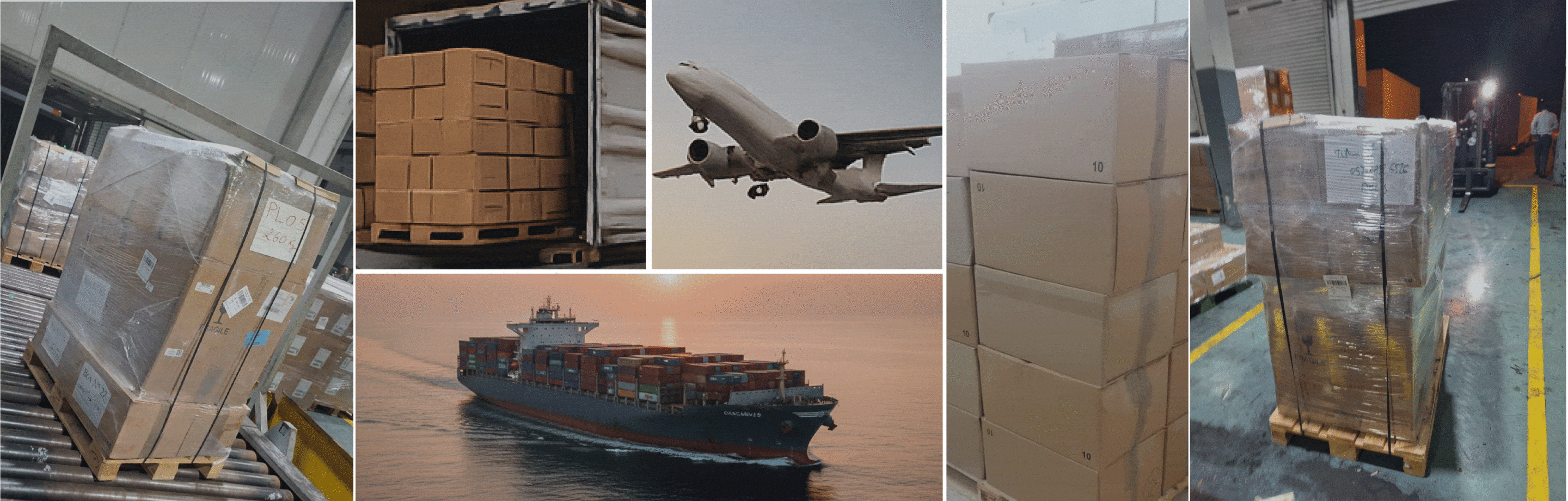 ArtisRaw-B2B-new-Artisraw-04-05